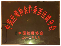 中國(guó)絲綢協會(huì)柞蠶繭絲綢分(fēn)會(huì)