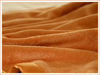 緻力于科學研究有限公司